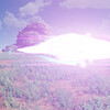 000444.jpgのサムネイル