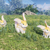 000459.jpgのサムネイル